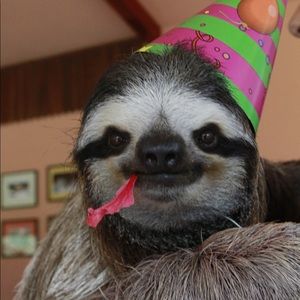 Meet your Posher, Oceane